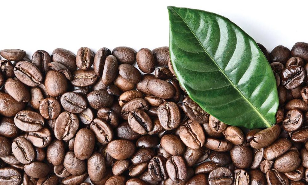 Organic Coffee Vs Conventional Why Drinking Organic Coffee Matters